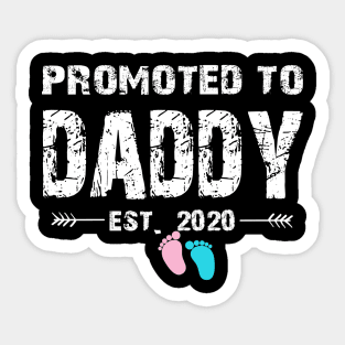 Promoted To Daddy Est. 2020 Funny Father's Day Gifts Sticker